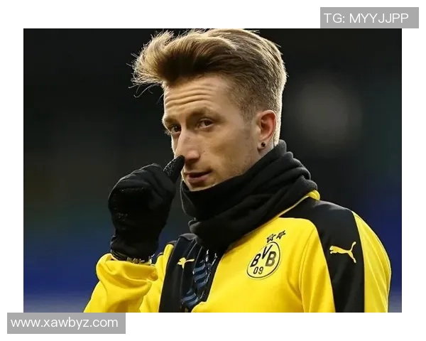 罗伊斯重返多特主场感慨万千出任俱乐部大使心系家园